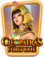 การ์ดเกมบัดดี้ไฟท์ วิธีเล่นที่น่าสนใจ